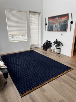 Large Rug 6’7” X  9’ 10”  Like New 