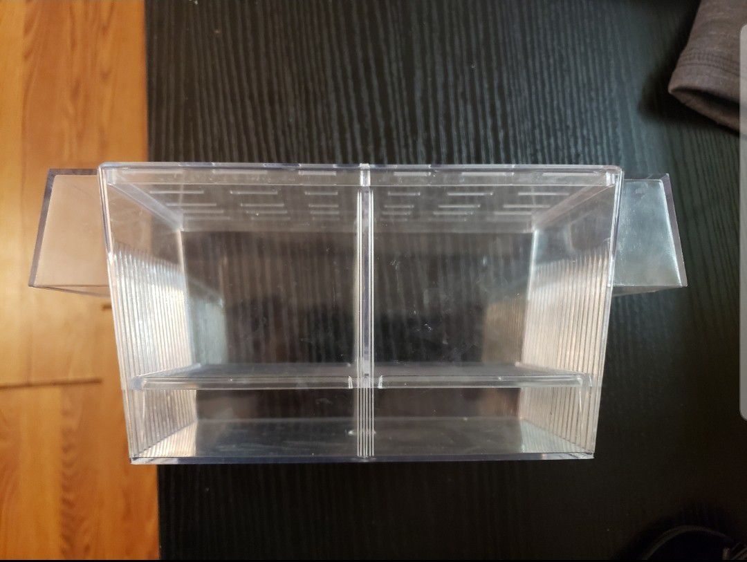 Fish Tank Hatchery Breeding box / Isolation Box