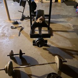 Weight Bench Curl Bar 