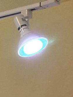 Track lights