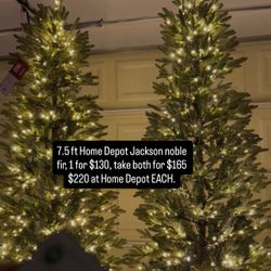 Christmas Trees 