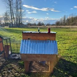 Chicken 🐔 House 
