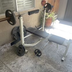 Bench Press Olympic Bar And Weights