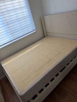 FREE - Sealy box spring - Full Size