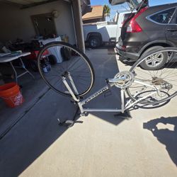 Dawes Lightning DT Bike