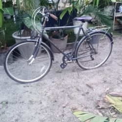 Bike (Needs TCL)