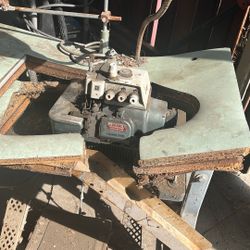 Seeing Machine