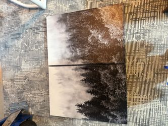 2 large canvas wall art set