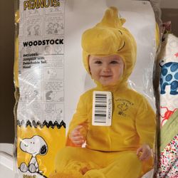 Woodstock Costume 