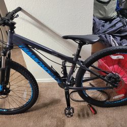 DiamondBack Mountain Bike 