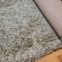 Shag Rug