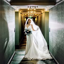 Wedding Dress & Long Floor Length Veil  For Sale
