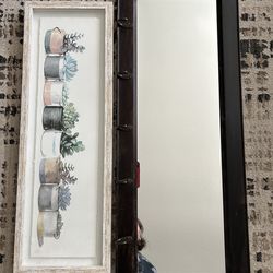 Mirror with hooks or succulent picture