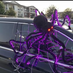 Spider For Halloween 