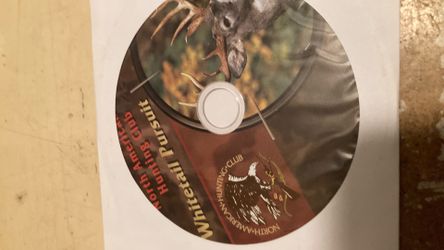 Whitetail pursuit