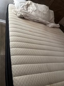 Crayon Queen Mattress