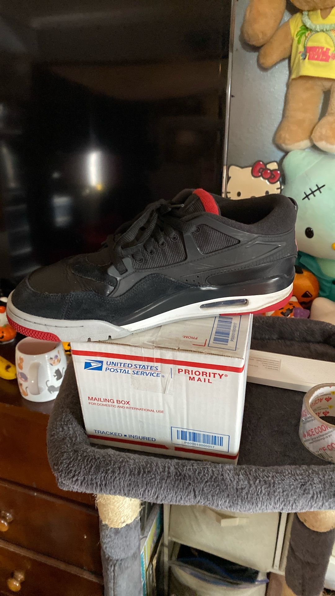 Jordan Size 12
