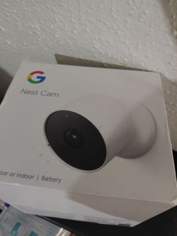 Nest cam