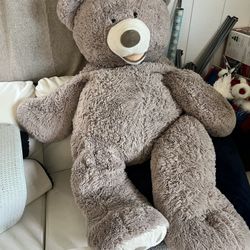 Large Bear