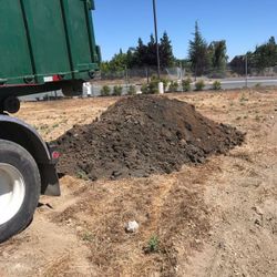 Dirt Clean 