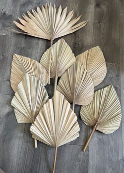 8 Dried Natural Palm Leaf Spears Bundle