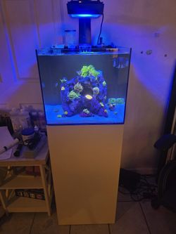 Waterbox 20g Cube AIO Complete Set Up Aquarium Reeftank