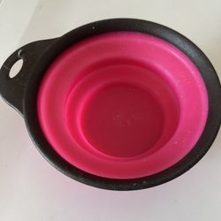 Dog Cup
