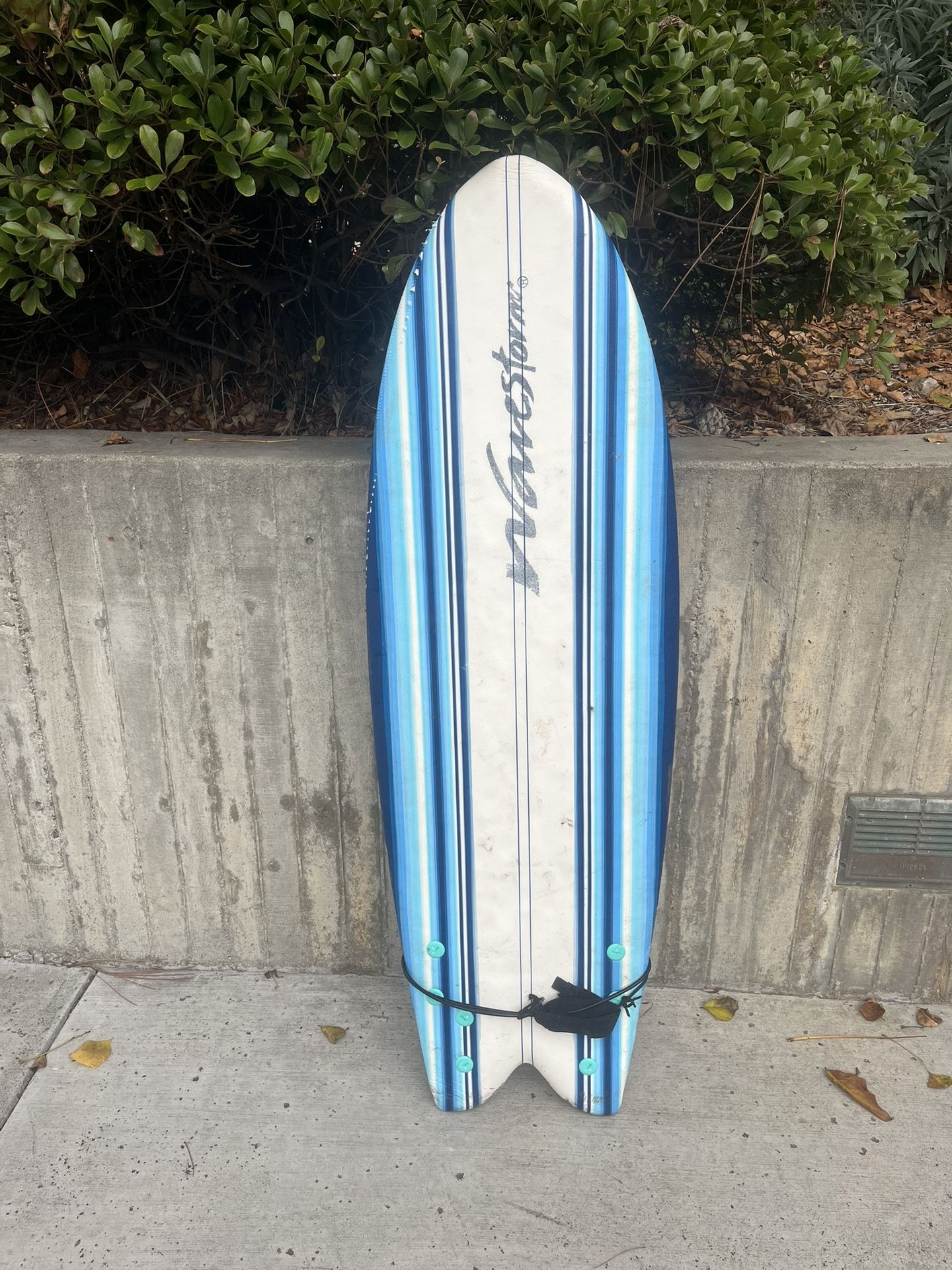 Fish Surfboard