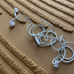 Apple wired earphones 