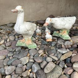 Cement Ducks