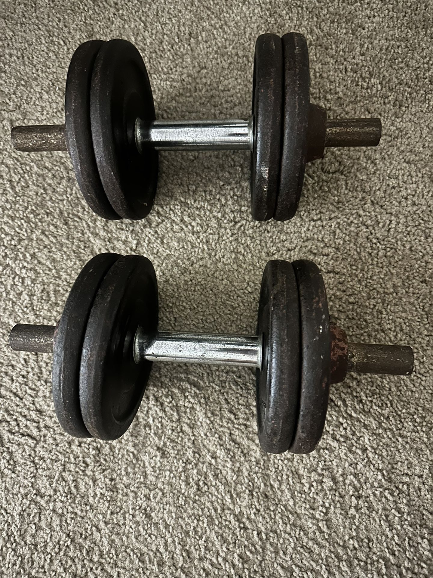 Gym Dumbbells