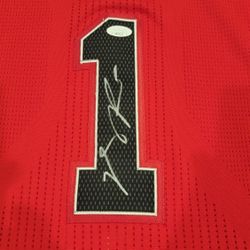 Derrick Rose Rev30 Autographed Jersey