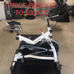 Bladez Fitness SX Pro Training Bike