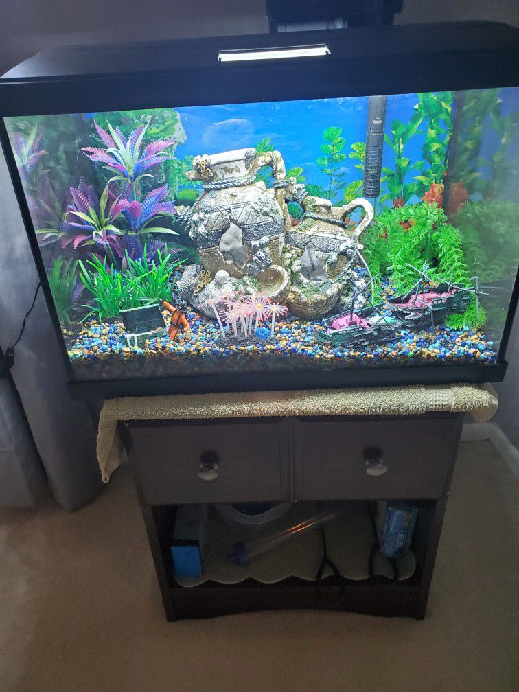 Fish 🐟  Tank  With Everything You See