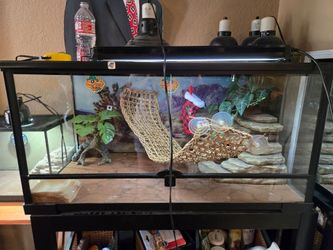 36"L x 18"W x 18"H Thrive reptile tank