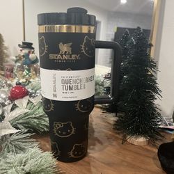 Hello Kitty Stanley | Christmas Gift 🎁🎄