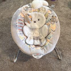Baby Bouncer 