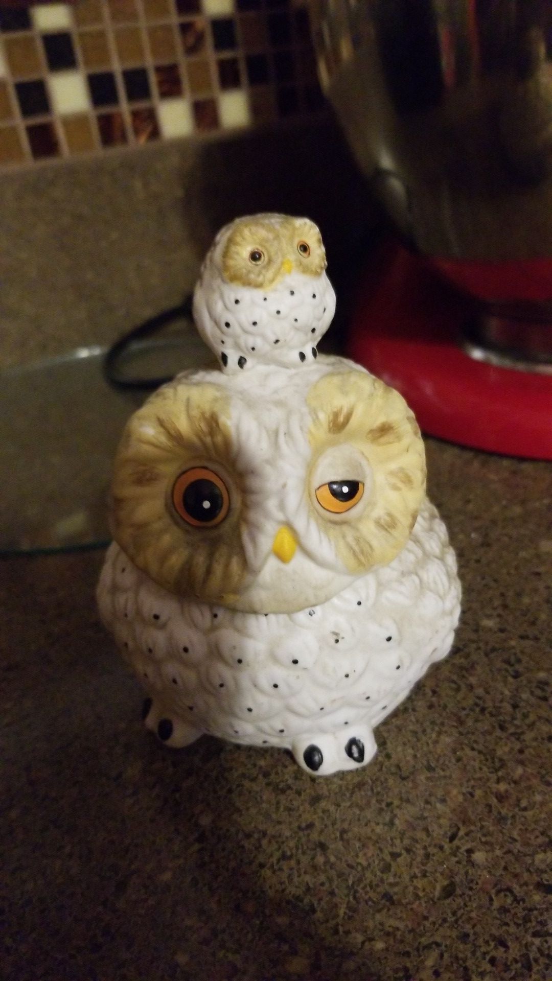 Owl