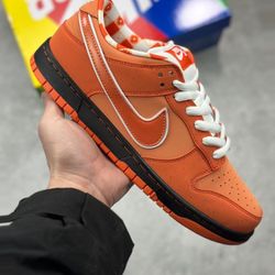 Nike SB Dunk Low Concepts Orange Lobster 16