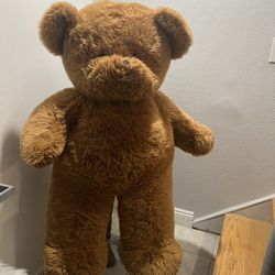 stuffed  Ready Bear