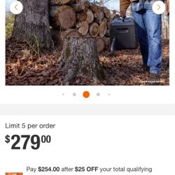 Royobi 18inch Cordless Chainsaw 