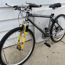 TREK ZX
