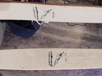 Ben Pearson cougar bows
