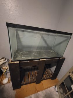 90 Gallon Aquarium tank