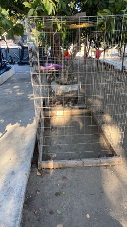 6ft cage