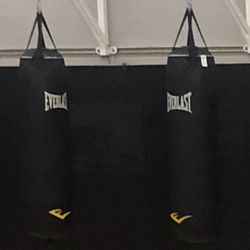 Everlast 100LB HEAVY PUNCHING BAGS