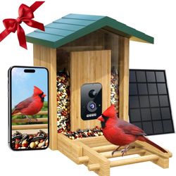 Bird Feeder with Camera