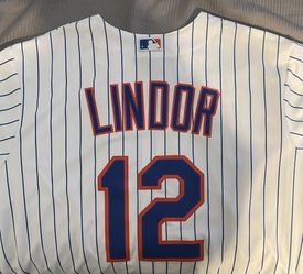 Blue top lindor jersey