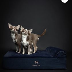 New Denim Pet Bed - Medium 