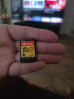 Nintendi switch game